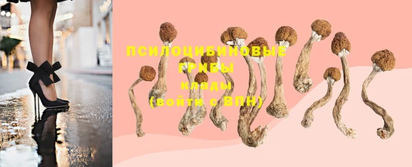 дживик Киреевск