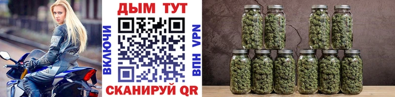 Конопля White Widow  Купить  Пустошка 